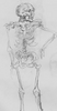 Filename=1992_life_study_3.jpg
Filesize=20KB
Dimensions=261x500
Date added=Jan 30, 2008 1992_life_study_3.jpg