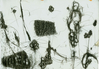 Filename=1993_cyberspace_2.jpg
Filesize=80KB
Dimensions=640x445
Date added=Jan 30, 2008 1993_cyberspace_2.jpg