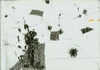 Filename=1993_cyberspace_3.jpg
Filesize=51KB
Dimensions=640x449
Date added=Jan 30, 2008 1993_cyberspace_3.jpg