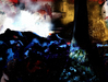 Filename=1997_tree.jpg
Filesize=69KB
Dimensions=640x483
Date added=Jan 30, 2008 1997_tree.jpg