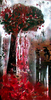 Filename=1998_appletree.jpg
Filesize=49KB
Dimensions=256x500
Date added=Jan 30, 2008 1998_appletree.jpg