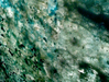 Filename=1998_atmosphere_02.jpg
Filesize=77KB
Dimensions=640x485
Date added=Jan 30, 2008 1998_atmosphere_02.jpg