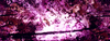 Filename=1998_colorglass_1.jpg
Filesize=64KB
Dimensions=640x244
Date added=Jan 30, 2008 1998_colorglass_1.jpg