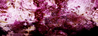 Filename=1998_colorglass_3.jpg
Filesize=52KB
Dimensions=640x236
Date added=Jan 30, 2008 1998_colorglass_3.jpg