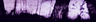 Filename=1998_myst_lightboxpano.jpg
Filesize=21KB
Dimensions=640x146
Date added=Jan 30, 2008 1998_myst_lightboxpano.jpg