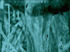 Filename=1999_vid_mograss_lg.jpg
Filesize=43KB
Dimensions=640x481
Date added=Jan 30, 2008 1999_vid_mograss_lg.jpg