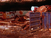 Filename=1999_vid_morust_lg.jpg
Filesize=57KB
Dimensions=640x481
Date added=Jan 30, 2008 1999_vid_morust_lg.jpg
