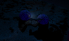Filename=2000_TEME_8.jpg
Filesize=40KB
Dimensions=640x385
Date added=Jan 30, 2008 2000_TEME_8.jpg