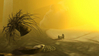2004_Head_tree_0.jpg