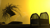 Filename=2004_Head_tree_1.jpg
Filesize=44KB
Dimensions=640x361
Date added=Jan 30, 2008 2004_Head_tree_1.jpg