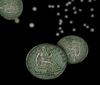 Filename=2004__Dynamic_coins_01.jpg
Filesize=27KB
Dimensions=588x500
Date added=Jan 30, 2008 2004__Dynamic_coins_01.jpg
