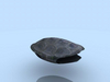 Filename=2005_study_terrapin_02.jpg
Filesize=13KB
Dimensions=640x481
Date added=Jan 30, 2008 2005_study_terrapin_02.jpg