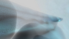 Filename=2006_ABSTRACT_Gas_03.jpg
Filesize=24KB
Dimensions=640x361
Date added=Jan 30, 2008 2006_ABSTRACT_Gas_03.jpg