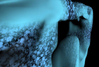 Filename=2006_turbo_1.jpg
Filesize=49KB
Dimensions=640x433
Date added=Jan 30, 2008 2006_turbo_1.jpg