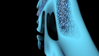 Filename=2006_turbo_3.jpg
Filesize=27KB
Dimensions=640x361
Date added=Jan 30, 2008 2006_turbo_3.jpg