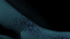 Filename=2006_turbo_6.jpg
Filesize=18KB
Dimensions=640x361
Date added=Jan 30, 2008 2006_turbo_6.jpg