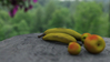 Filename=2007_Still_life_fruit_final_300.jpg
Filesize=22KB
Dimensions=640x361
Date added=Jan 30, 2008 2007_Still_life_fruit_final_300.jpg
