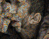 2008_Mosaic_01flat.jpg
